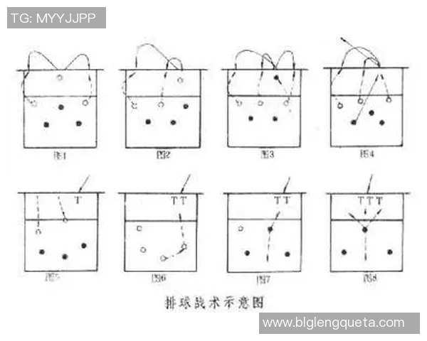 成都排球队的转换打法深度解析与战术创新探讨